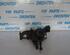 Turbocharger VW GOLF PLUS (5M1, 521)