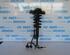 Suspension Strut AUDI A6 Avant (4B5, C5)