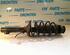 Suspension Strut VW GOLF IV (1J1)