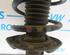 Suspension Strut VW JETTA III (1K2)