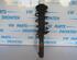 Suspension Strut VW JETTA III (1K2)