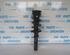 Suspension Strut VW PASSAT B8 Variant (3G5, CB5)