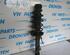 Suspension Strut VW GOLF IV (1J1)