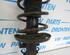 Suspension Strut VW FOX Hatchback (5Z1, 5Z3, 5Z4)