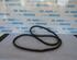 Door Seal VW CADDY IV Box Body/MPV (SAA, SAH)