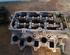 Cylinder Head SKODA FABIA II Combi (545), SKODA ROOMSTER Praktik (5J)