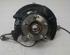 Stub Axle KIA NIRO I (DE)