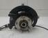 Stub Axle KIA NIRO I (DE)