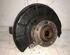 Stub Axle VW PASSAT Variant (3C5), VW PASSAT B7 Variant (365)