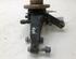 Stub Axle NISSAN MICRA V (K14)