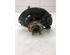 Stub Axle KIA SPORTAGE (QL, QLE)