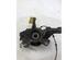 Stub Axle RENAULT MEGANE III Hatchback (BZ0/1_, B3_)