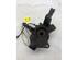 Stub Axle RENAULT MEGANE III Grandtour (KZ0/1)