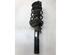 Drive Shaft VW Golf VII (5G1, BE1, BE2, BQ1)