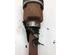 Drive Shaft OPEL MOVANO B Bus (X62)