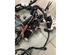 Wiring Harness RENAULT CLIO V (B7_)