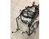 Wiring Harness RENAULT CLIO V (B7_)