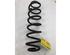 Coil Spring VW T-ROC (A11)