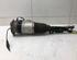 Suspension Strut VW PHAETON (3D1, 3D2, 3D3, 3D4, 3D6, 3D7, 3D8, 3D9)