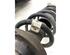 Federbein links vorne Audi A4 Avant 8W, B9 8W0413031AA P19849300