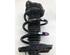 Suspension Strut KIA CEED (CD), KIA PROCEED (CD), KIA XCEED (CD)