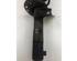 Suspension Strut VW CADDY III MPV (2KB, 2KJ, 2CB, 2CJ)