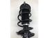 Suspension Strut SKODA OCTAVIA IV Combi (NX5)