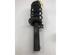 Suspension Strut AUDI A3 (8P1), AUDI A3 Sportback (8PA)