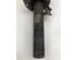 Suspension Strut AUDI A3 (8P1), AUDI A3 Sportback (8PA)