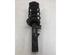 Suspension Strut AUDI A3 (8P1), AUDI A3 Sportback (8PA)