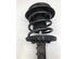 Suspension Strut MERCEDES-BENZ C-CLASS (W203)