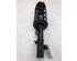 Suspension Strut FORD PUMA (J2K, CF7)