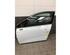 Door RENAULT CLIO V (B7_)