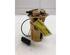 Fuel Pump DACIA DUSTER (HS_), DACIA DUSTER SUV Van, DACIA LOGAN MCV (KS_), DACIA LODGY (JS_)