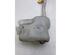 Washer Fluid Tank (Bottle) OPEL MOVANO B Bus (X62)