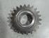 Gear wheel for Scania P - series 1476272 Rueckwaertsgang