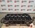 Cylinder Head for Iveco Stralis